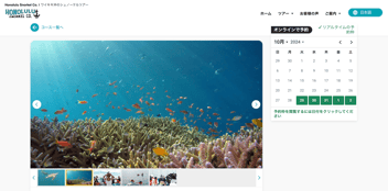 Introducing Honolulu Snorkel Company: Dive into Hawaii’s Underwater Wonders with a New Website by Nutmeg