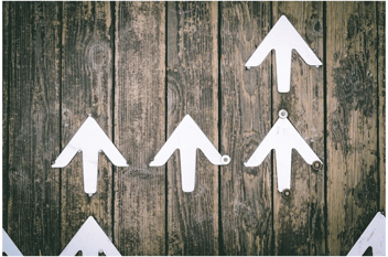 Maximize Bookings and Minimize Workload with an Optimized Website