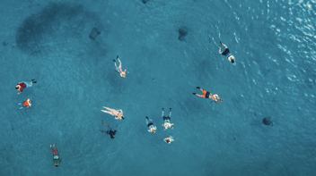 June 2024 DBEDT Visitor Satisfaction and Activity Survey: In-Depth Analysis of Hawaiian Activities